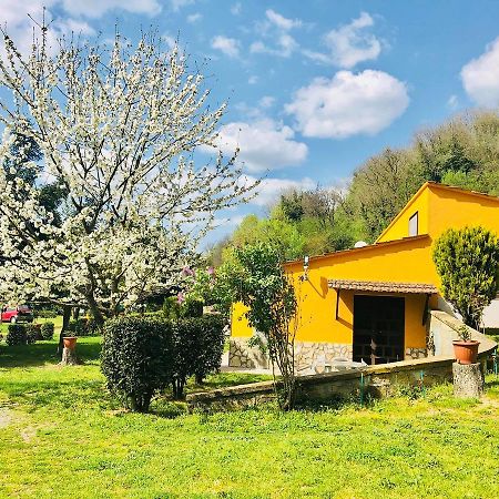 Вілла Agriturismo Pianezze Grotte di Castro Екстер'єр фото
